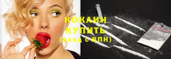 мяу мяу мука Михайловск