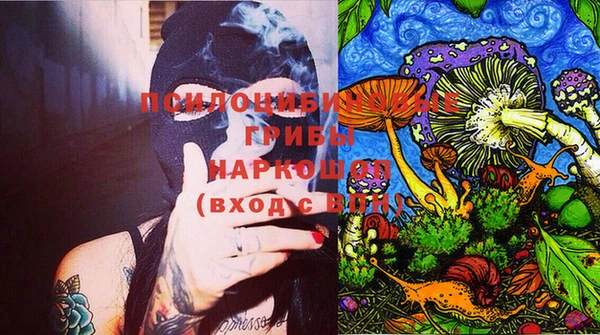 мяу мяу мука Михайловск