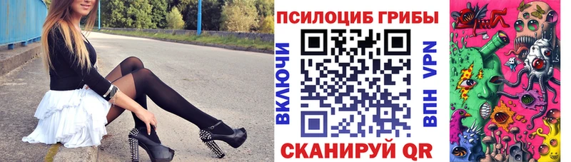 купить наркоту  Черемхово  Галлюциногенные грибы Cubensis 