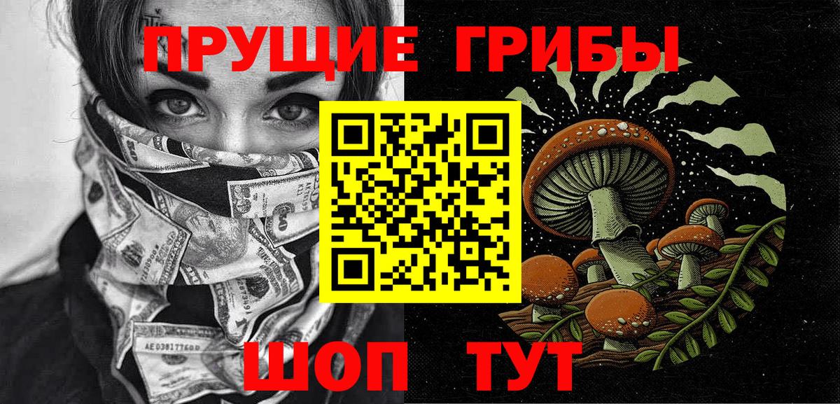 Псилоцибиновые грибы MAGIC MUSHROOMS  Вход с VPN  Черемхово 