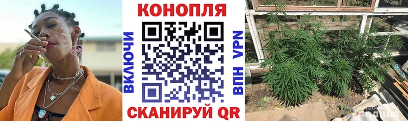 кракен ТОР  хочу наркоту  Черемхово  Конопля гибрид 